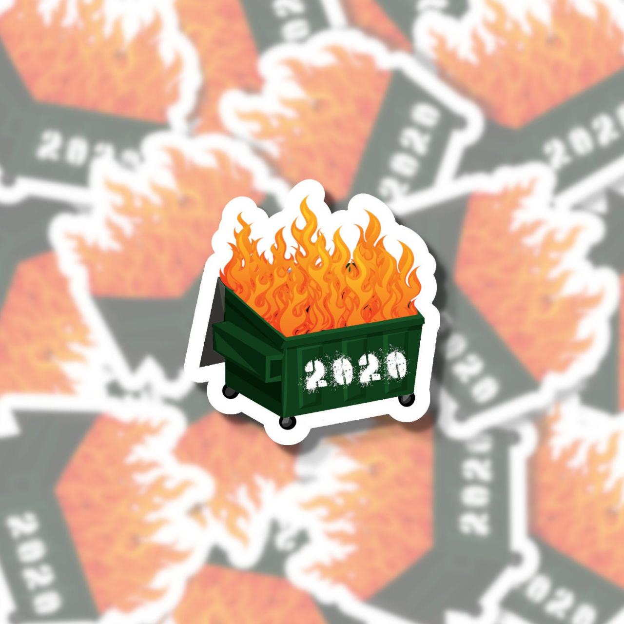 2020 Dumpster Fire Sticker | 2020 Sucks | Dumpster Sticker | Funny Sticker | Water Bottle Sticker | Laptop Sticker | Planner Sticker
