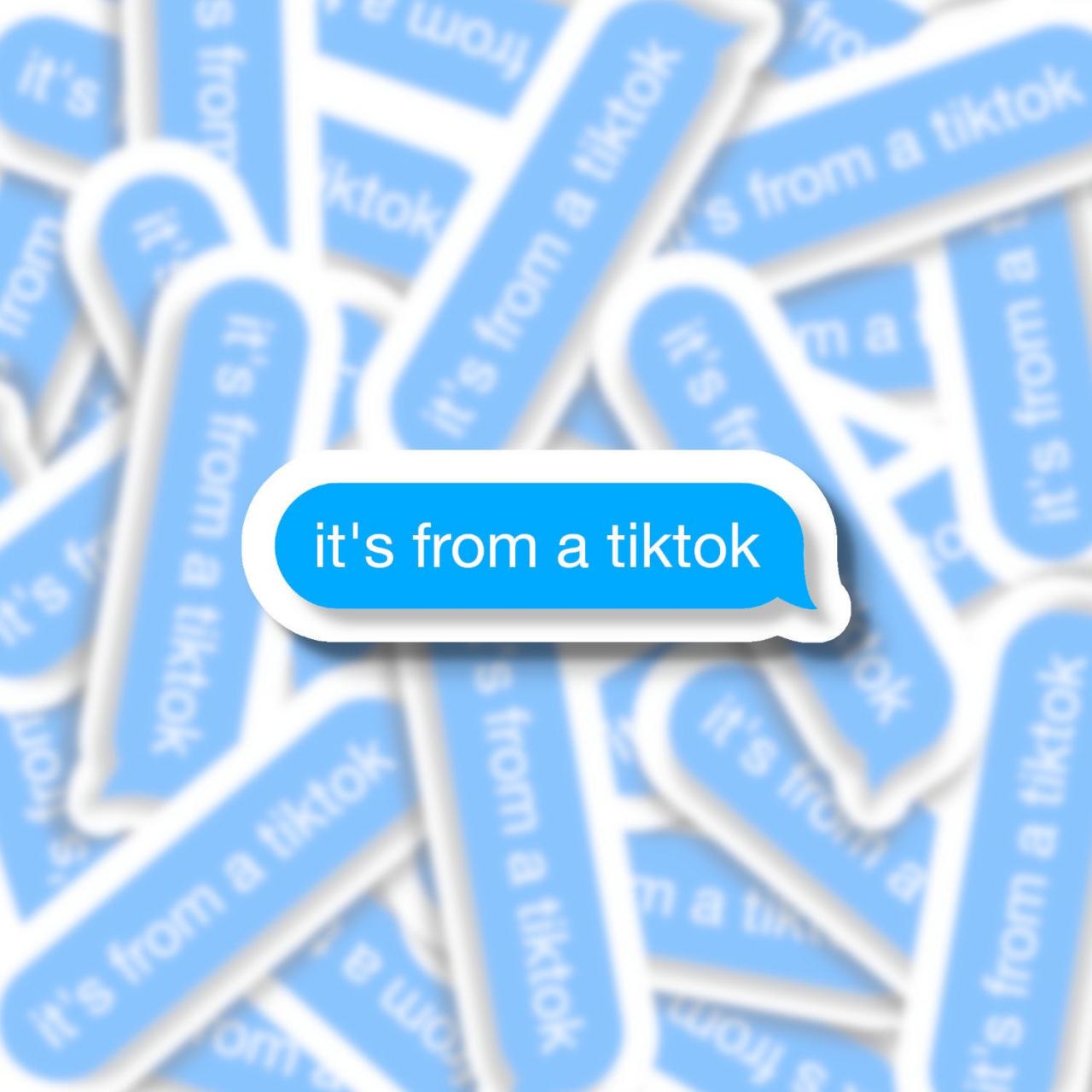Tiktok Sticker | Iphone Sticker | Imessage Sticker | Text Message Sticker | Water Bottle Sticker | Laptop Sticker | Planner Sticker